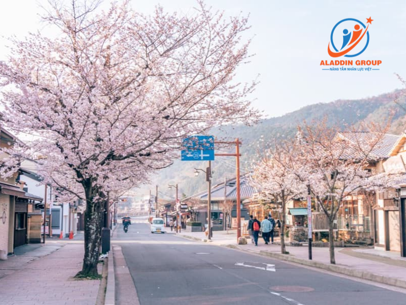 Quy trình chuẩn bị hồ sơ du học Nhật Bản tại Hà Tĩnh như thế nào