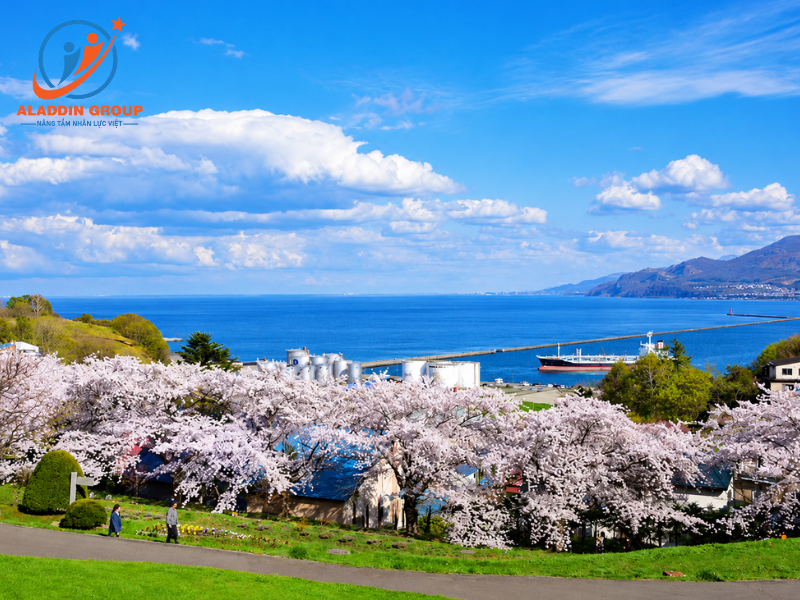 Hokkaido, hòn ngọc của vùng cực Bắc Nhật Bản