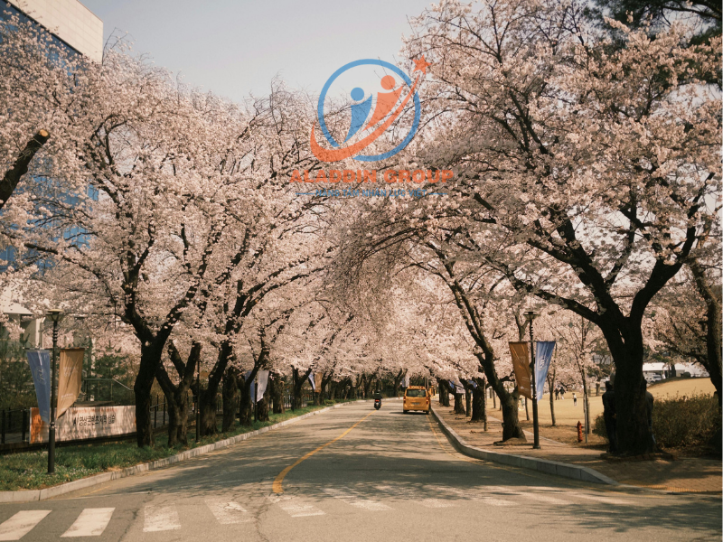 Kinh nghiệm giúp tăng tỷ lệ đậu visa D2-3