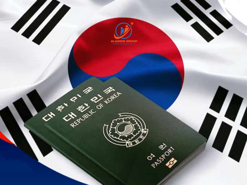 Visa D2-3 là gì? Ai cần xin visa D2-3?