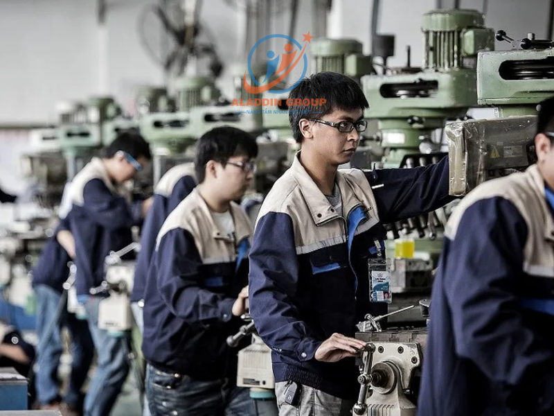 Tổng quan về đơn hàng thực tập sinh Nhật Bản