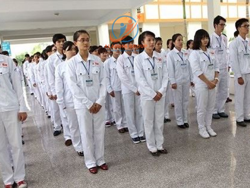 Các đơn hàng thực tập sinh Nhật Bản phổ biến hiện nay